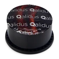 qualidus