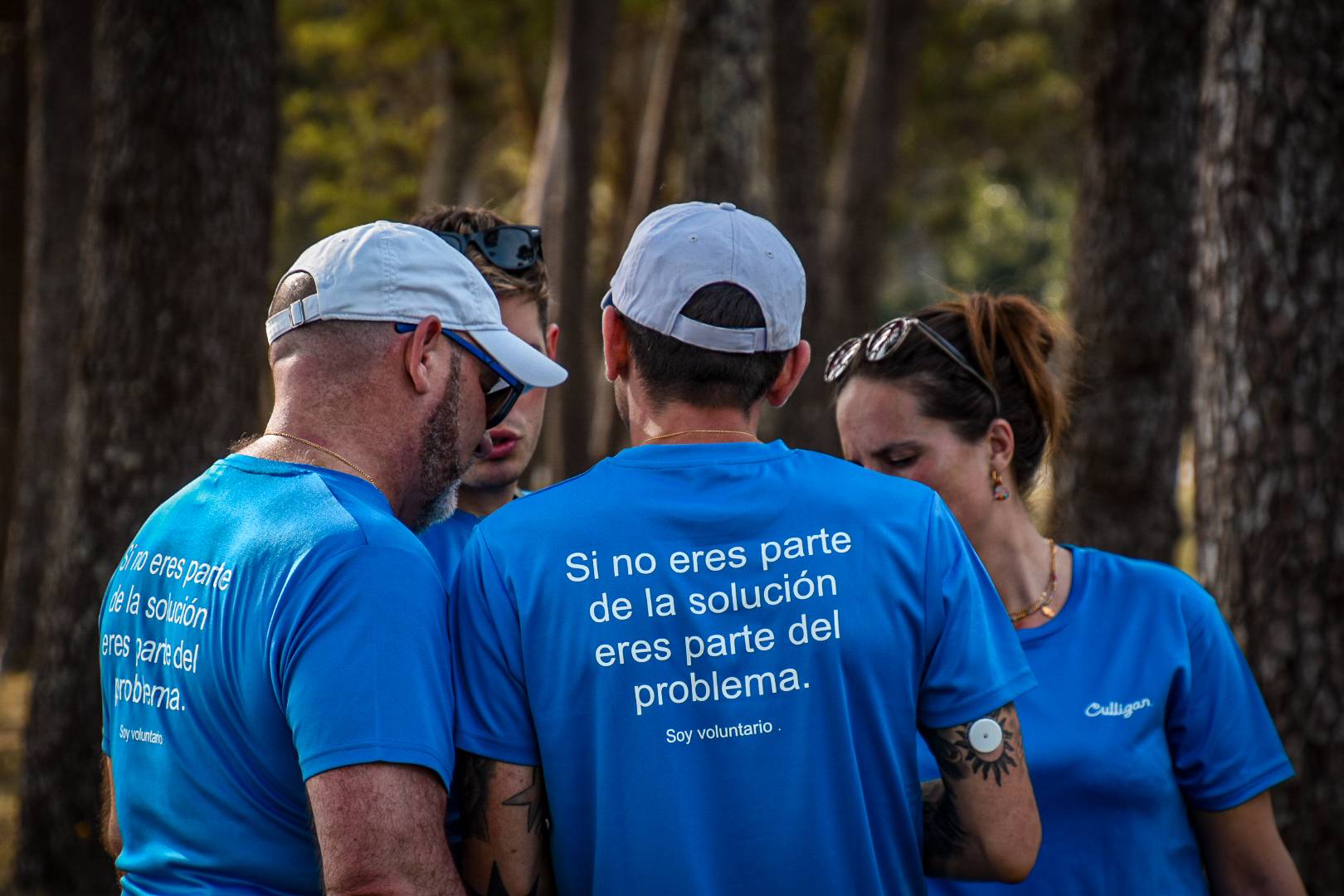 grupos de trabajo
