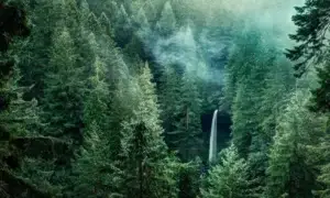 Causas y efectos de la escasez del agua en el mundo