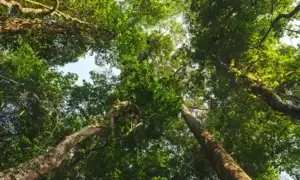 Consecuencias de la escasez de agua a nivel global