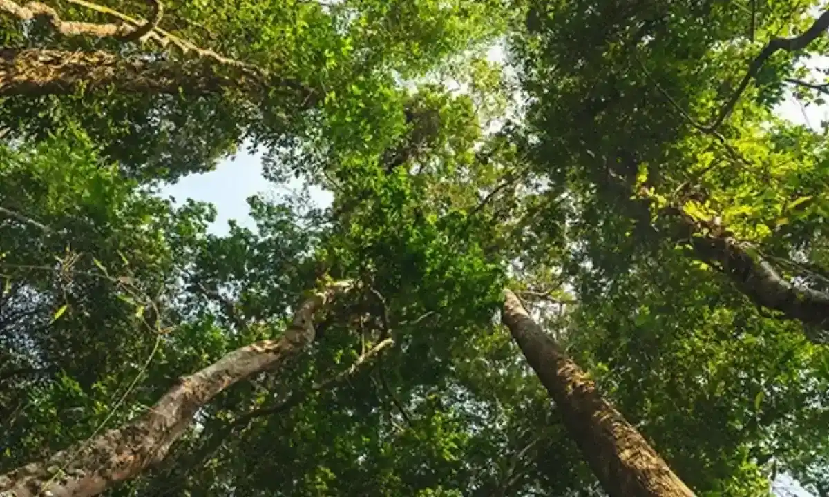 Consecuencias de la escasez de agua a nivel global