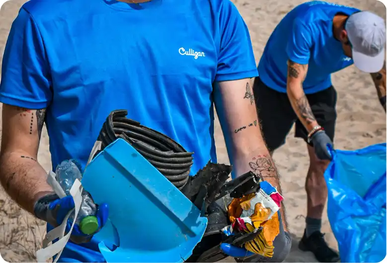 Voluntariado ambiental​