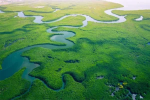 tipos de agua